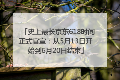 史上最长京东618时间正式官宣：从5月13日开始到6月20日结束
